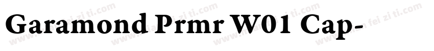 Garamond Prmr W01 Cap字体转换
